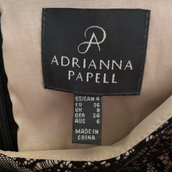 Black Dress with Nude Underlay - Picture 3 of 3